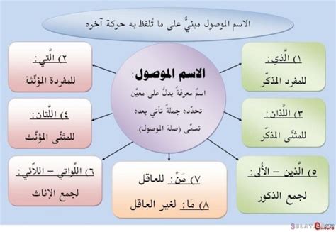 يتم تقسيم الأسماء النسبية فقط إلى اسم نسبي خاص، اعتمادًا على متطلبات اللغة
