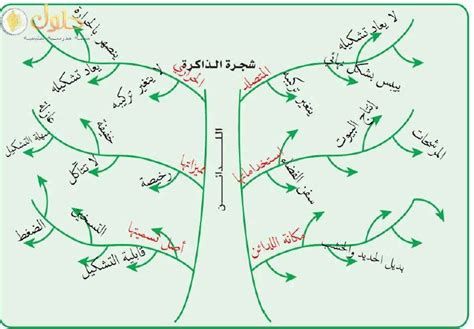 يتم تمثيل جذع الشجرة في رسم شجرة الذاكرة يتم تمثيل جذع الشجرة في رسم شجرة الذاكرة