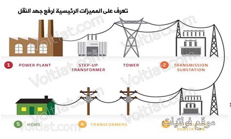 يتم نقل الطاقة من المنتجات إلى المستهلكين ثم إلى المحللات؟