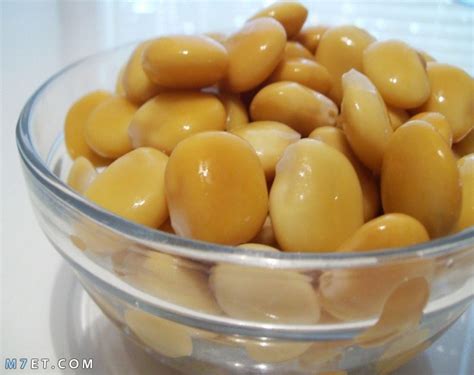 يساعد الترمس المر في علاج وحل جميع مشاكل تساقط الشعر وتلفه