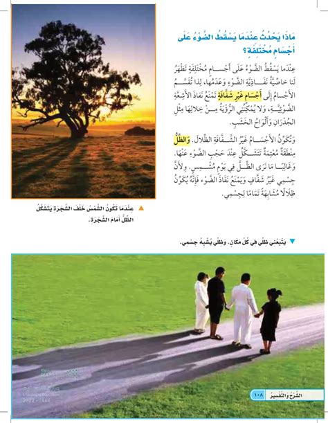 يسقط الضوء على الأشياء، ويرتد عنها، ويسقط فيها، لذلك أرى تلك الأشياء
