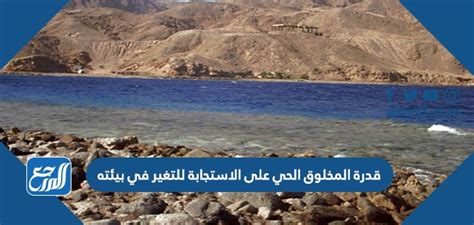 يصف قدرة الكائن الحي على الاستجابة للتغيير في بيئته