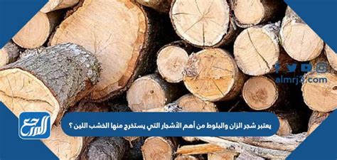 يعتبر الزان والبلوط من أهم الأشجار التي يستخرج منها الأخشاب اللينة؟