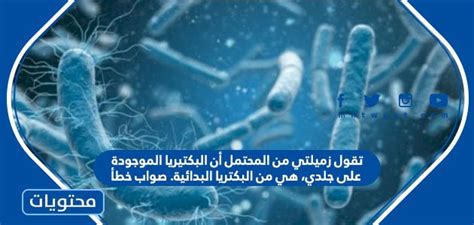 يقول زميلي إنه من الممكن أن تكون البكتيريا الموجودة على بشرتي بكتيريا بدائية. صحيح خطأ يقول زميلي إنه من الممكن أن تكون البكتيريا الموجودة على بشرتي بكتيريا بدائية. صحيح خطأ