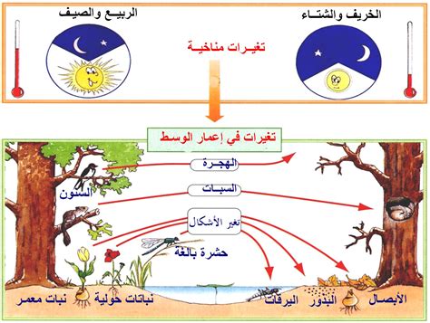 يمكن للكائن الحي أن يخضع لتغيرات فسيولوجية من أجل العيش بالقرب من أحد طرفي نطاق تحمله