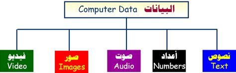يمكن للكمبيوتر معالجة جميع أنواع بيانات النص والصورة والصوت والفيديو.