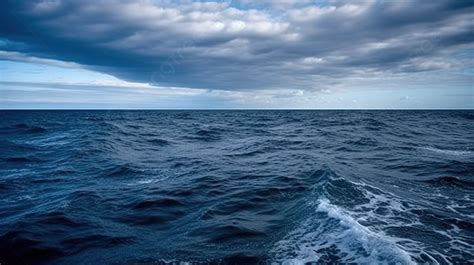 يمكنك العثور عليها في المحيط، لذا فهي تجول من 7 أحرف يمكنك العثور عليها في المحيط، لذا فهي تجول من 7 أحرف
