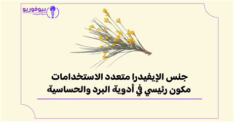 ينتمي إلى جنس Nitophytes ويستخدم في أدوية البرد والحساسية