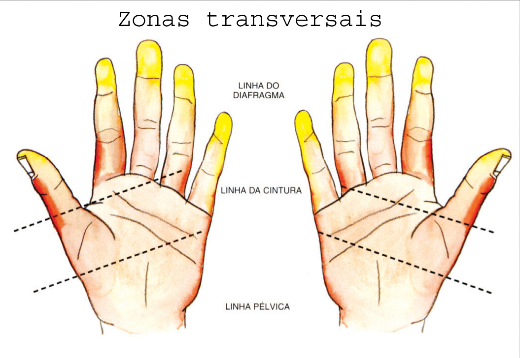 Reflexologia das mãos Reflexologia SAPO Lifestyle