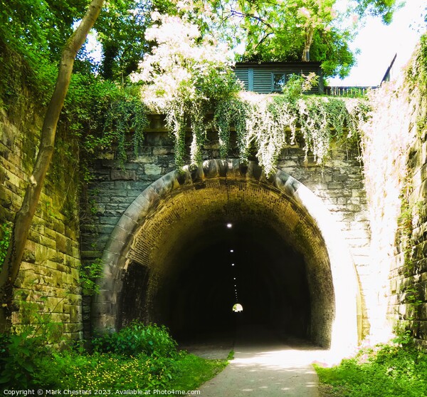 Ashbourne Tunnel Picture Acrylic Wall Art in Colour by Mark Chesters ID