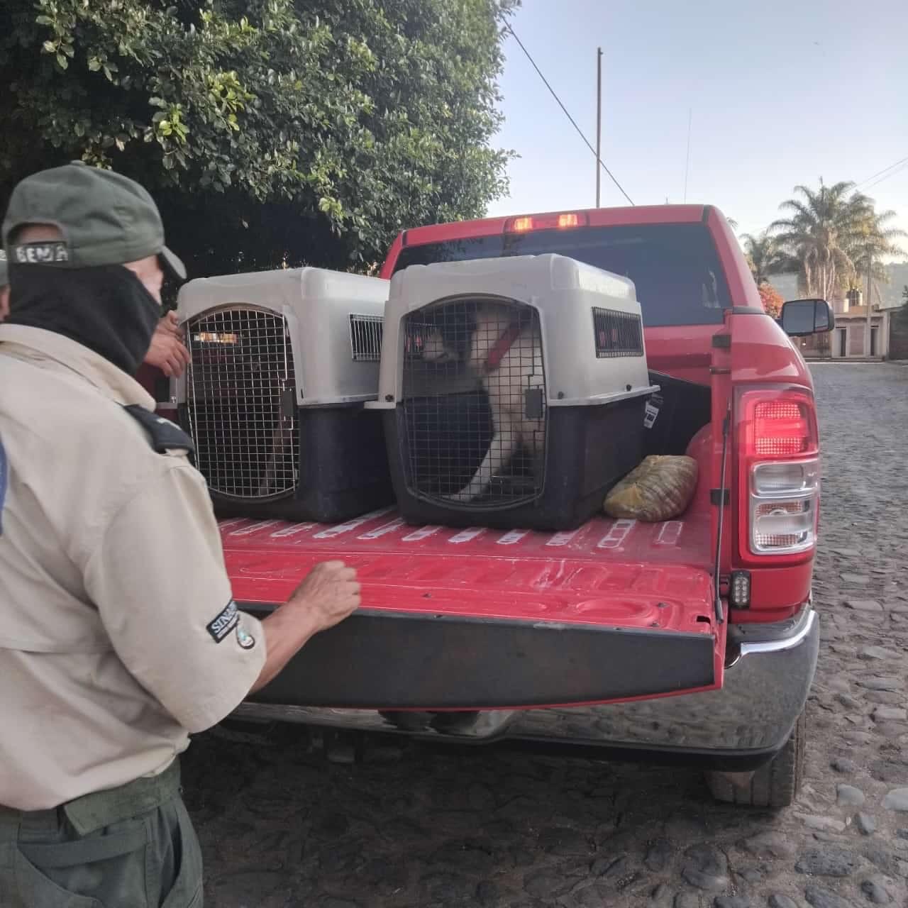 Continúa la búsqueda de Daniel Larios Gómez en Atoyac Notigram