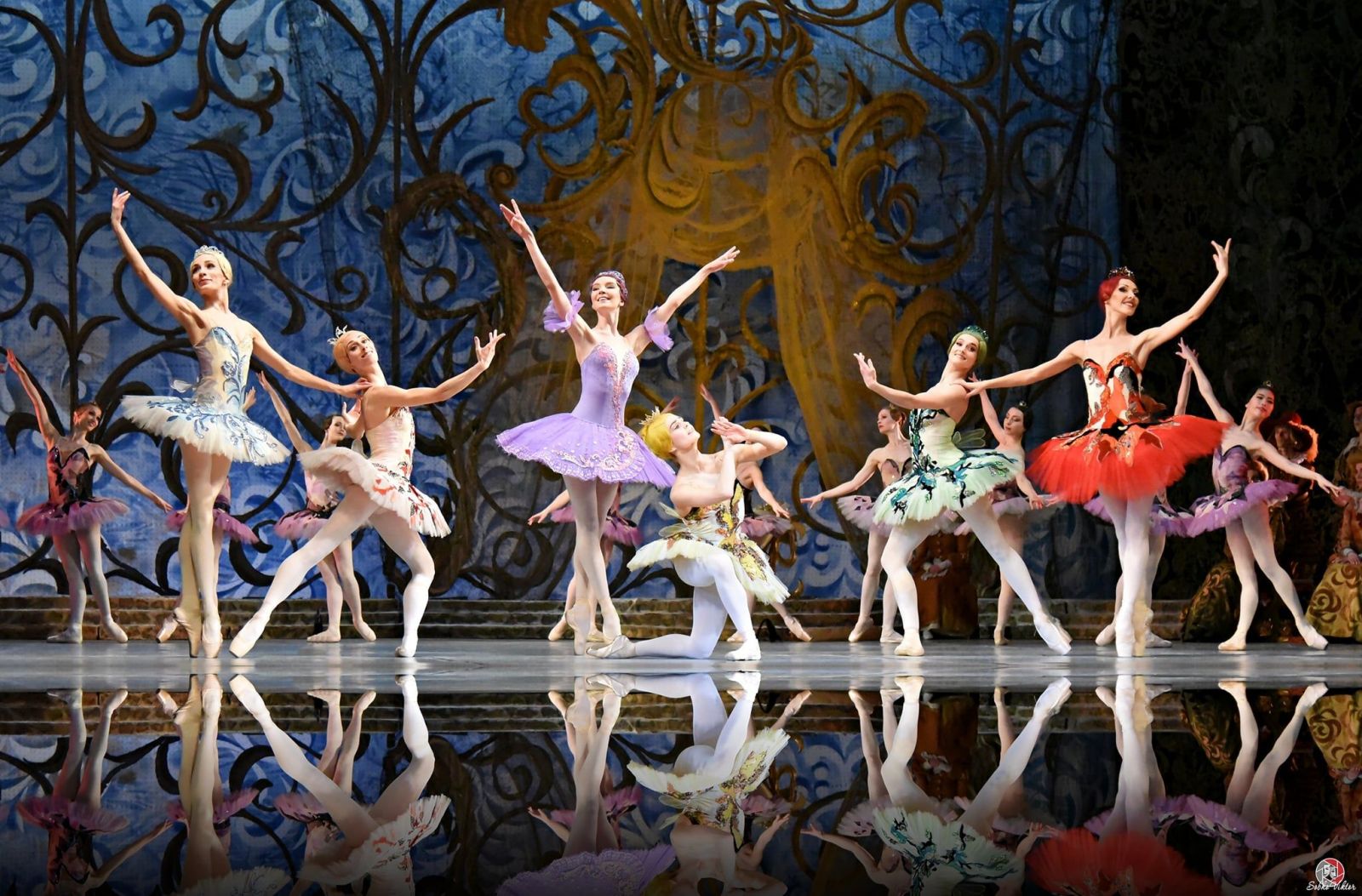 FSCJ Artist Series Celebrates their 56th Anniversary Season!