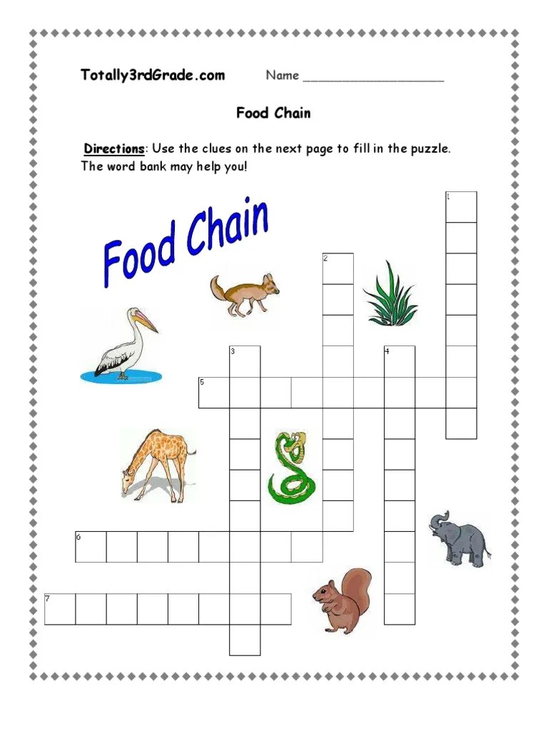 3rd Grade Food Chain Worksheet