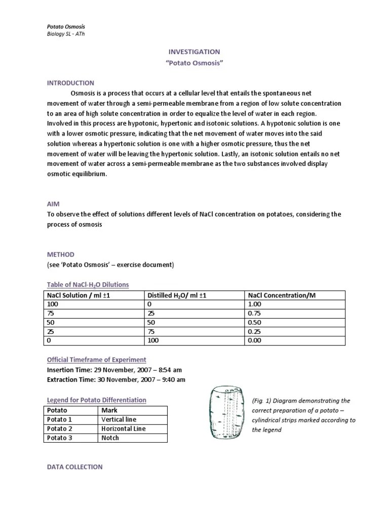 Sample Lab Report Potato Osmosis Osmosis Chemistry