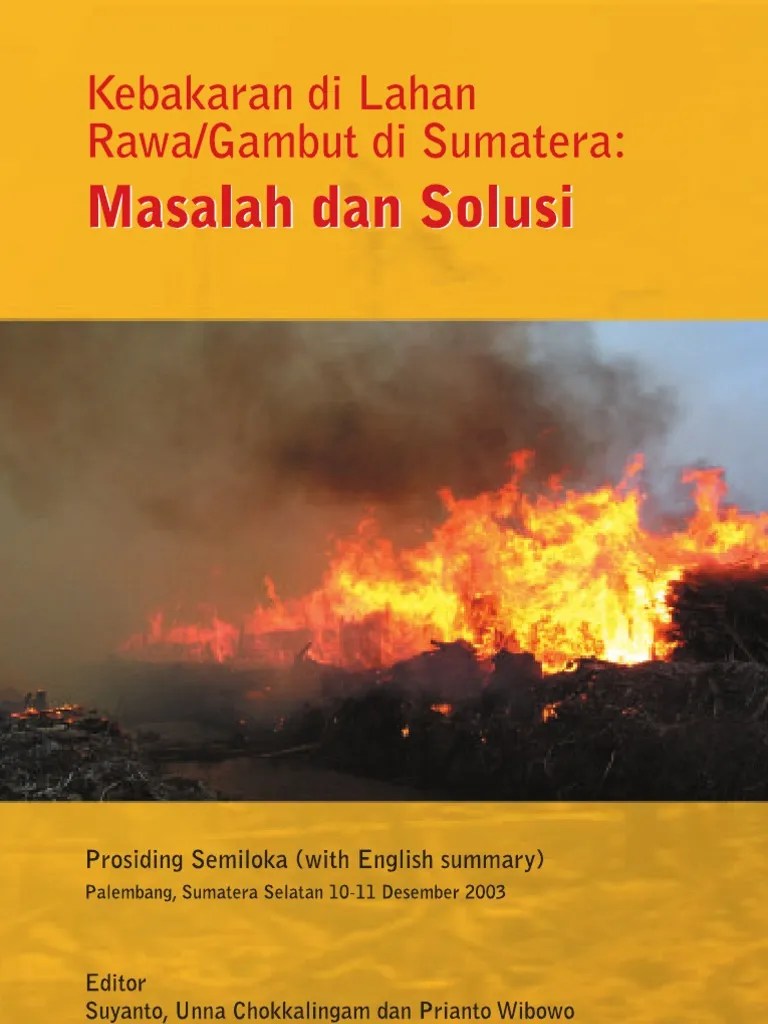 Kebakaran Di Rawa Lahan Atau Gambut Di Sumatra, Masalah Dan Solusi | PDF