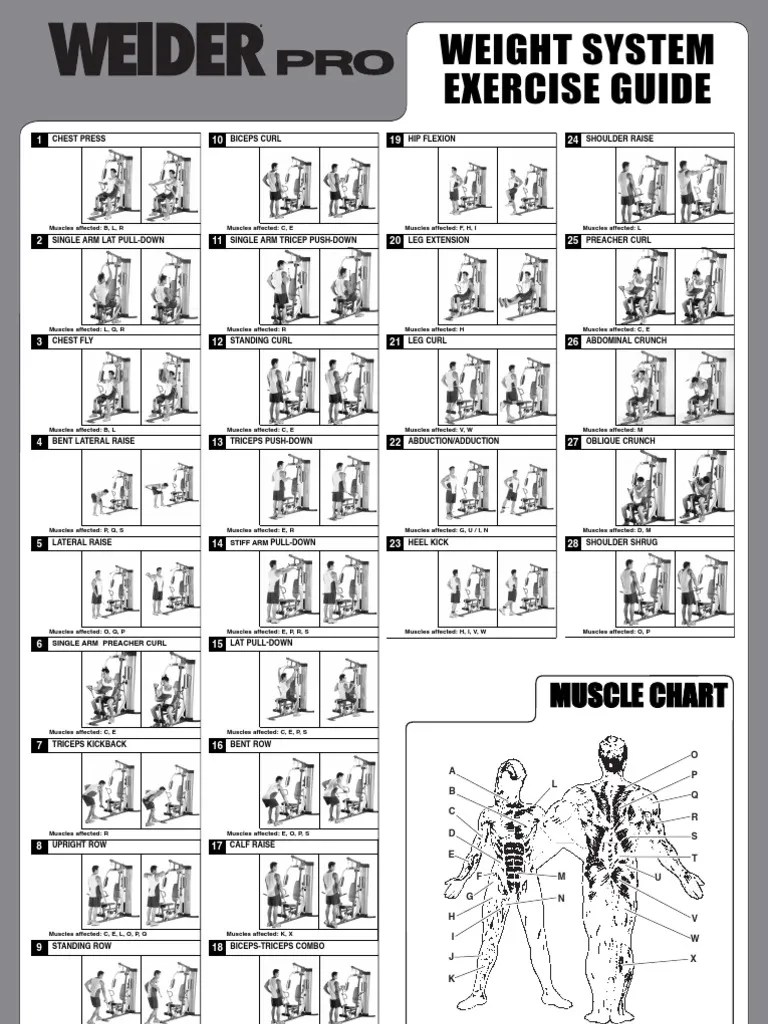 Weight System Exercise Guide