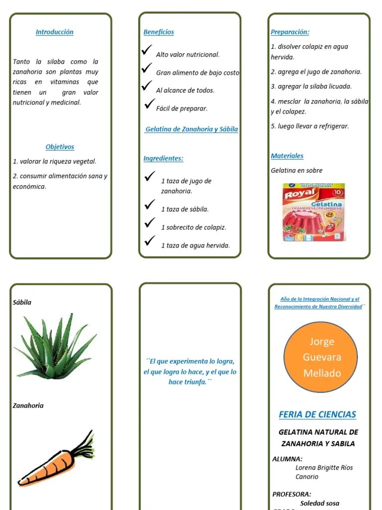Triptico 1 Modelo
