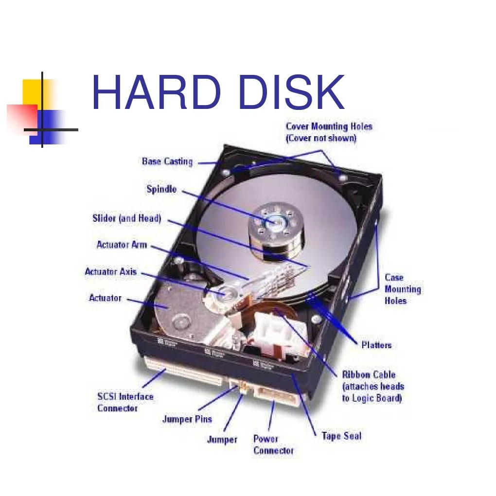 Hard Disk Hard Disk Drive Floppy Disk