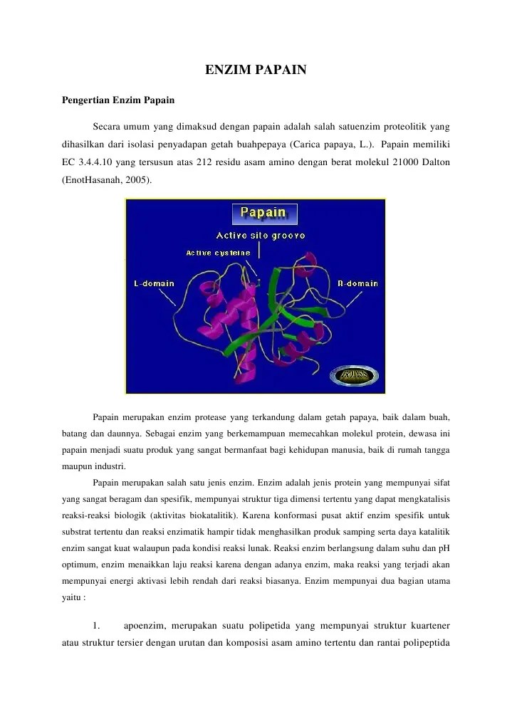 JURNAL TENTANG ENZIM PAPAIN PDF