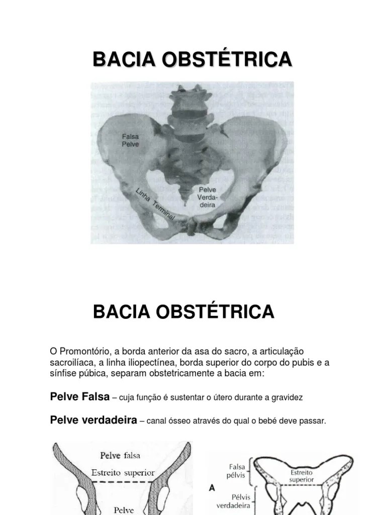 Bacia Obstetrica