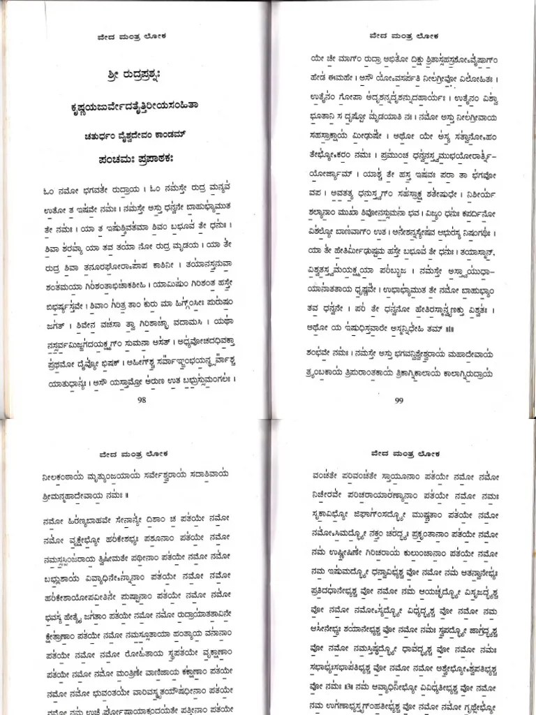 Rudram Namakam Chamakam Telugu Meaning Pdf vacelestial