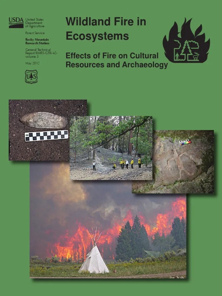 Effects of Fire On Cultural Resources and Archeology Wildfire
