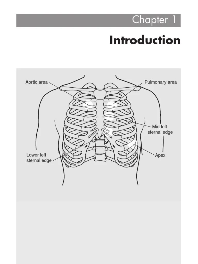 Auscultation | Heart Valve | Heart
