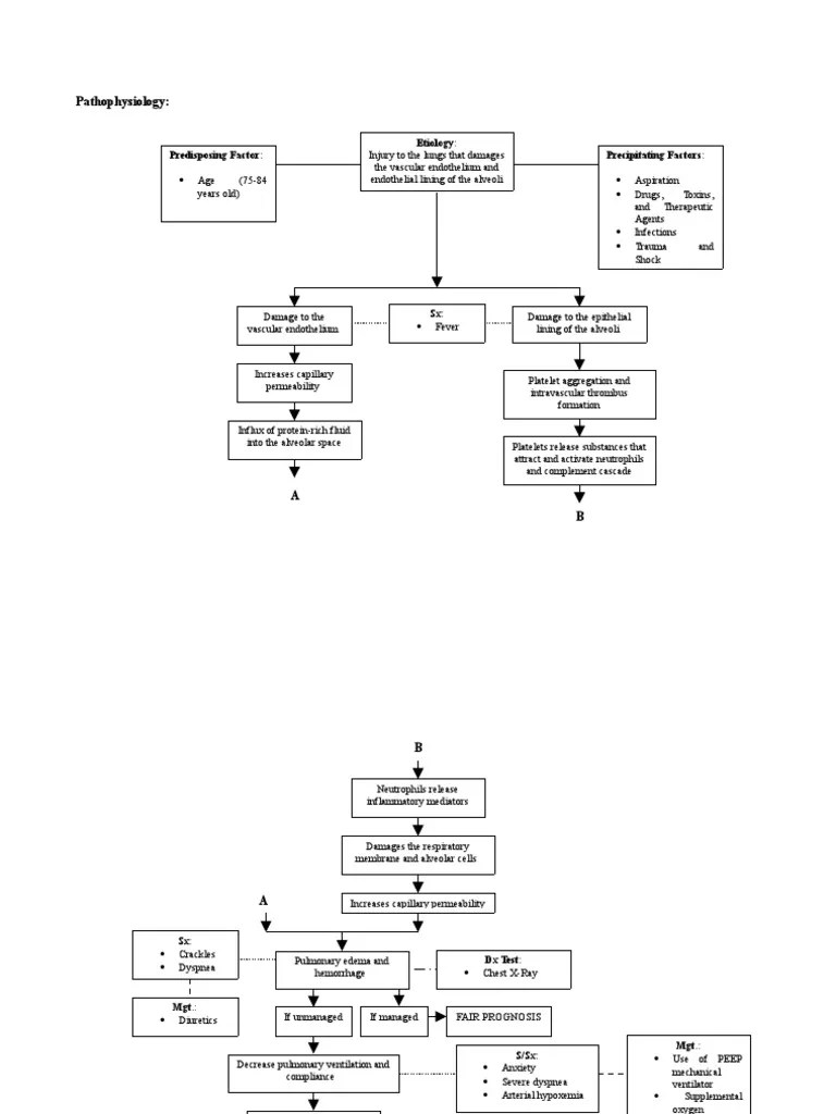 Concept Map For Acute Respiratory Distress Acute Respiratory Distress Syndrome_pathophysiology Blood Vessel Lung
