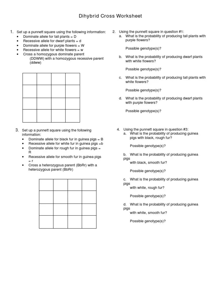 Dihybrid Square Blank Dihybrid Square Practice