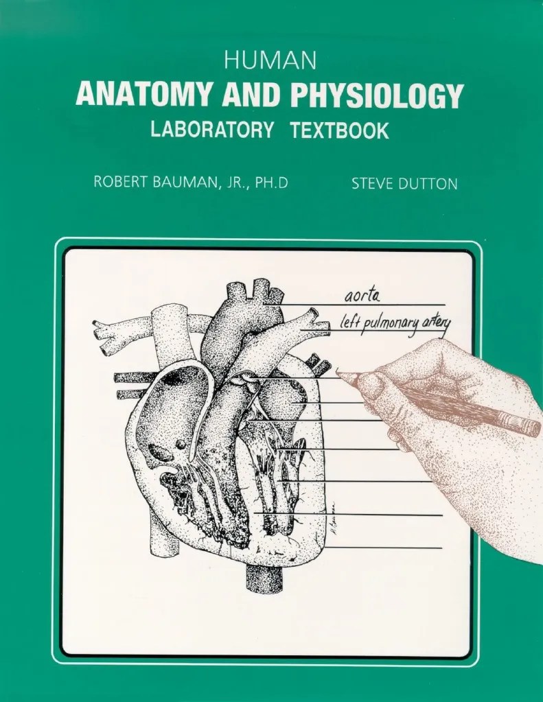 Student Workbook for Understanding Human Structure.