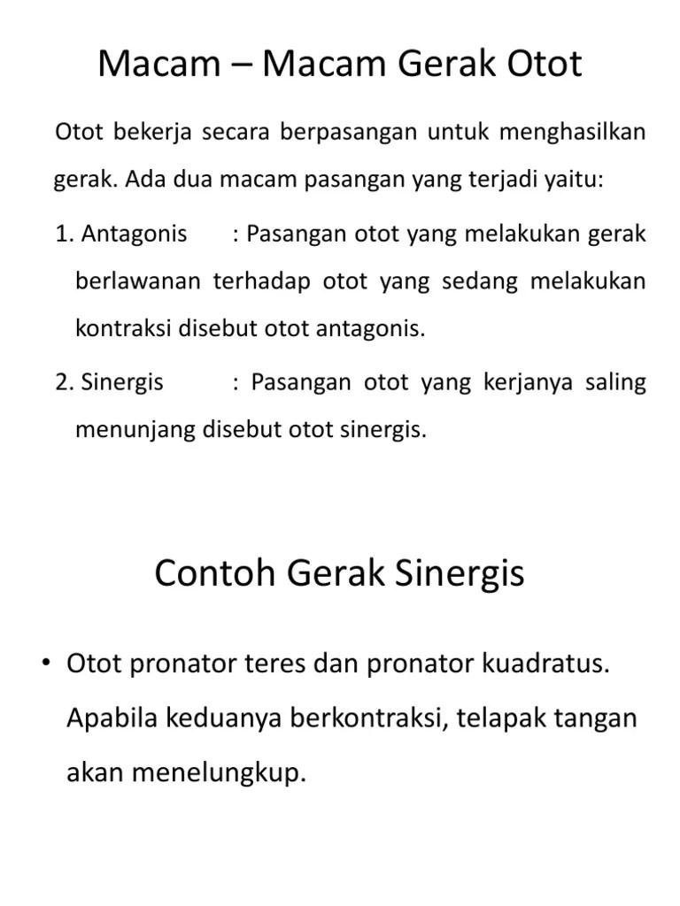 Macam N Gangguan Otot Keda | PDF