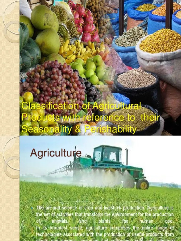 Classification of agricultural products Agriculture Vegetables