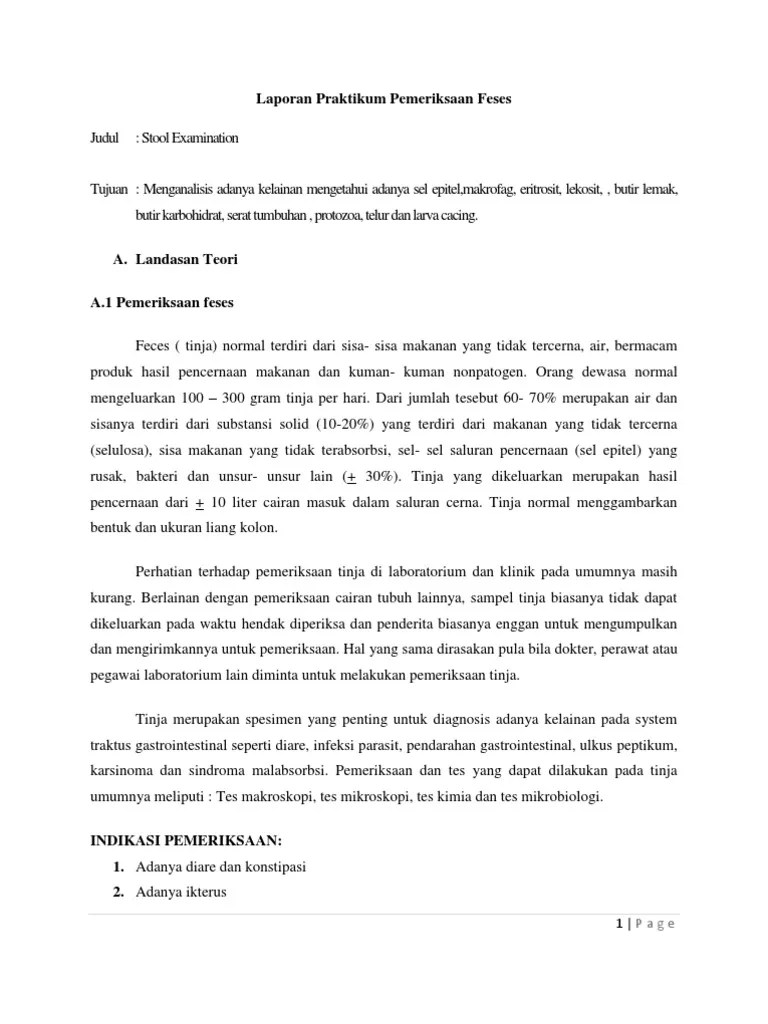 Laporan Praktikum Pemeriksaan Feses | PDF