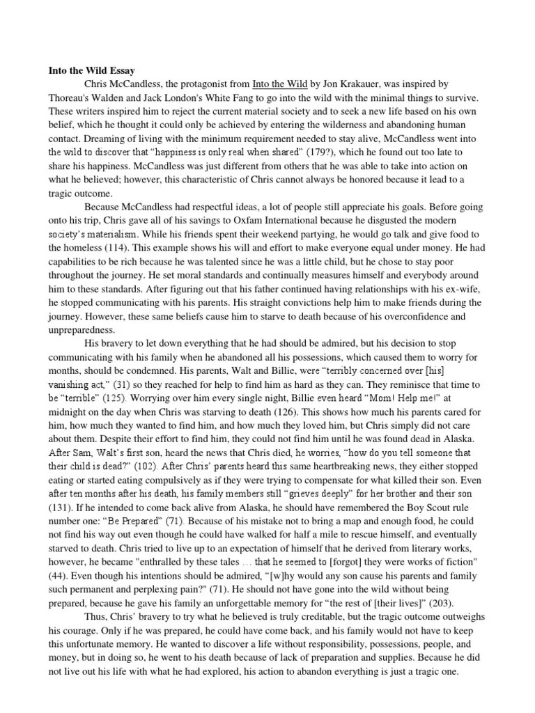 Into The Wild Essay