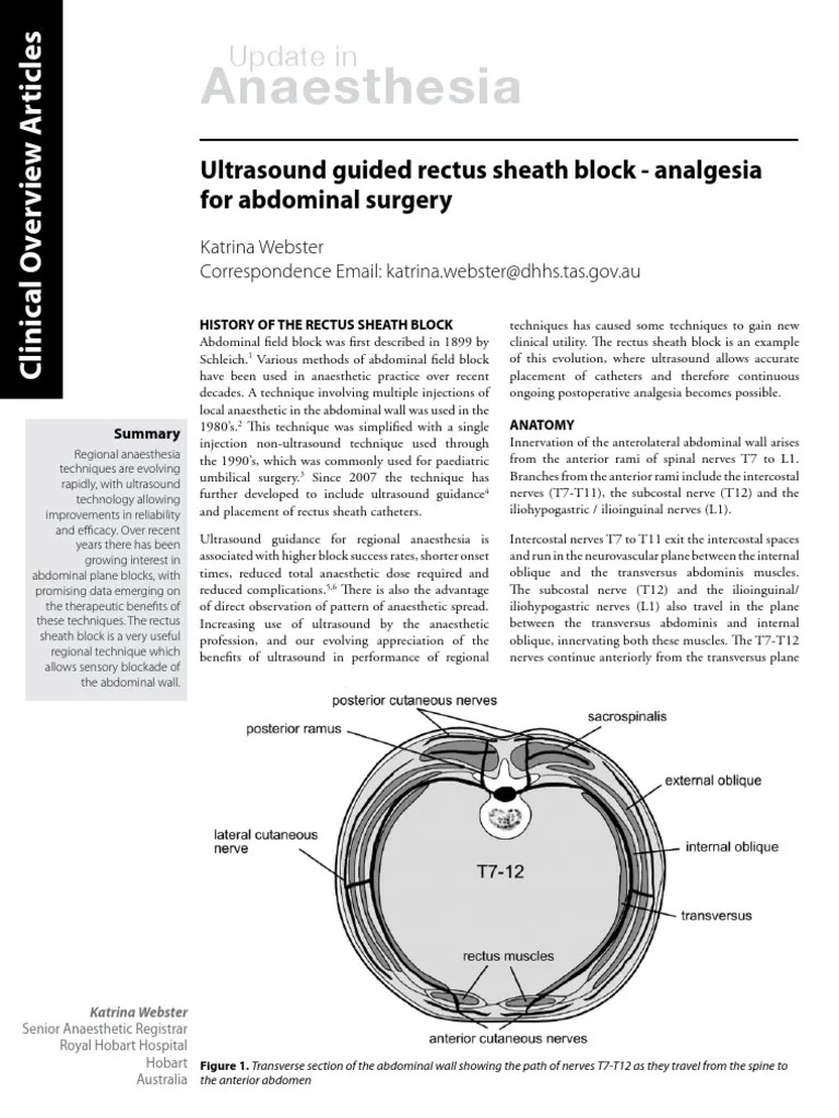rectus sheath vs TAP Blocks Anesthesia Abdomen
