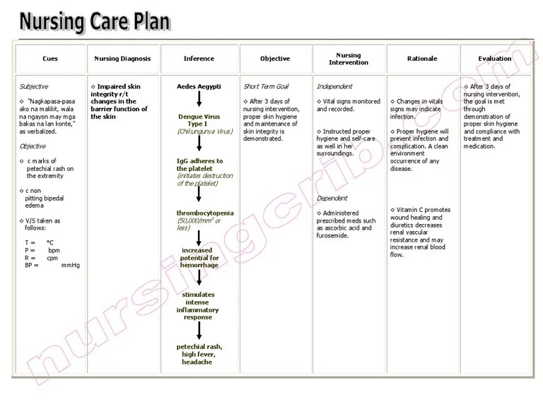Nursing Care Plan Impaired Skin Integrity Immunology