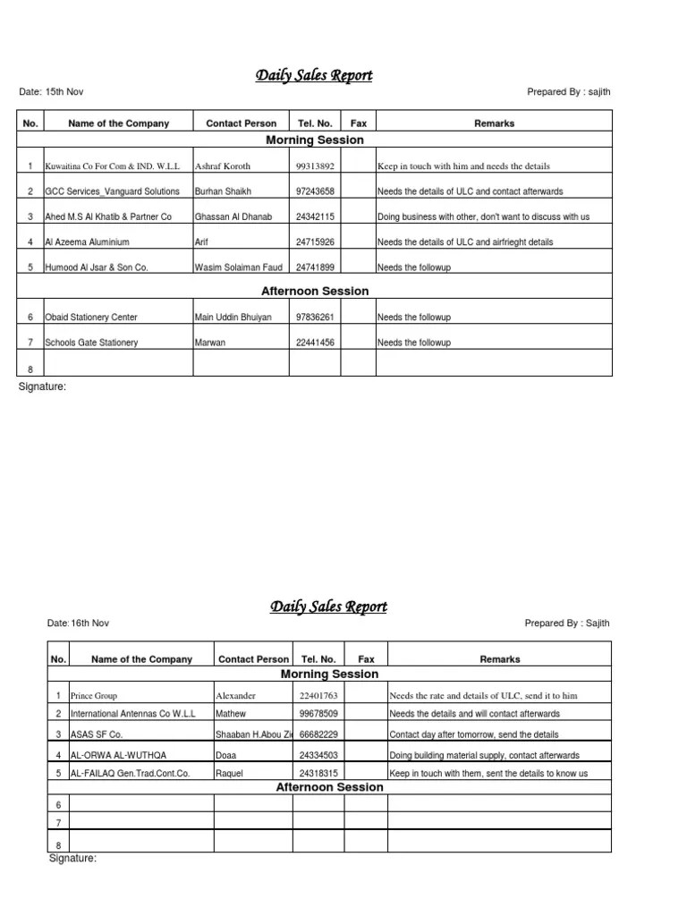 Sales Report Sample Daily Sales Report Industries Transport