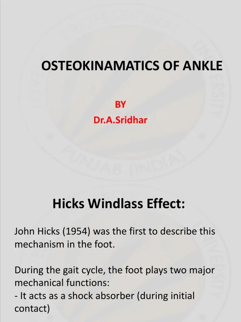 Windlass Effect Ankle Joint PDF Foot Ankle