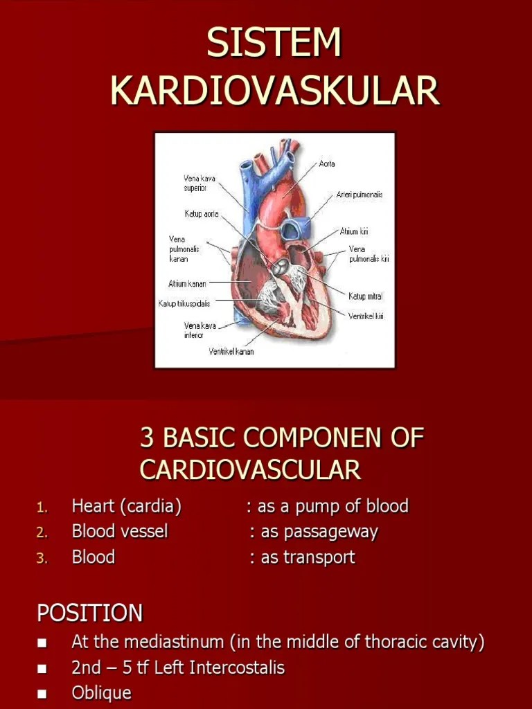SISTEM KARDIOVASKULAR NEW.ppt