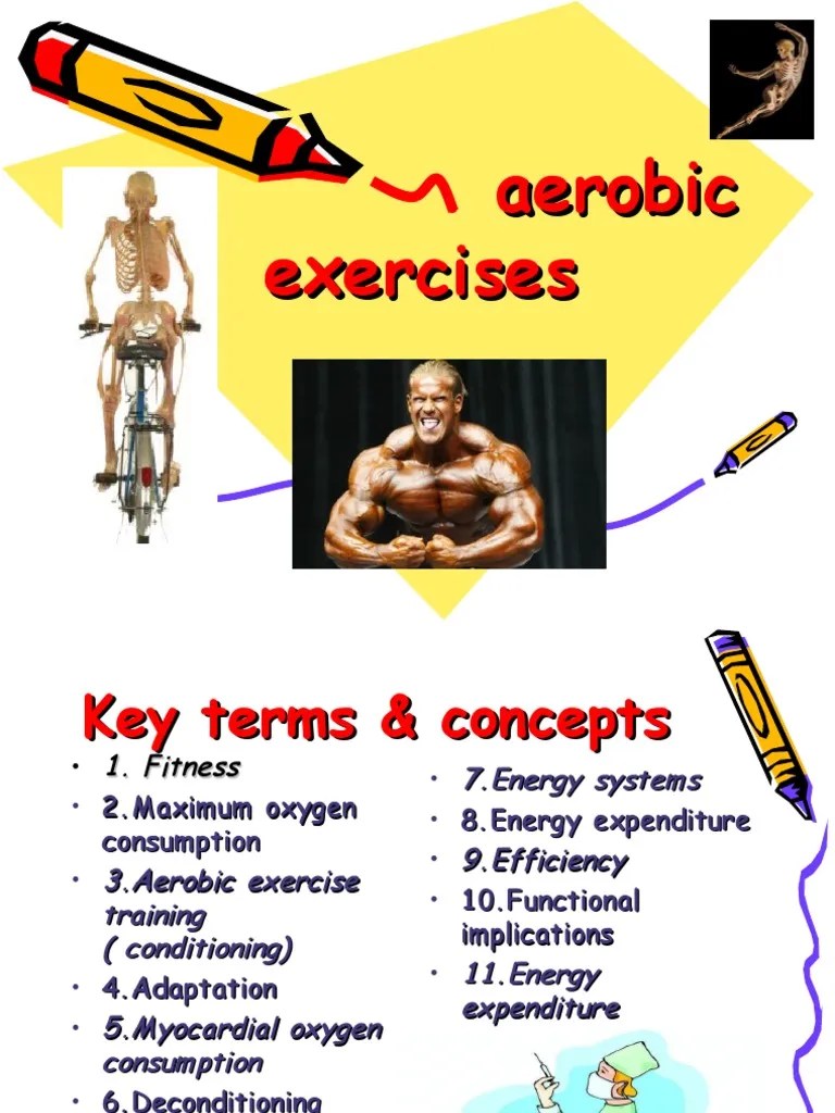 Aerobic Exercises 2 Aerobic Exercise Heart Rate