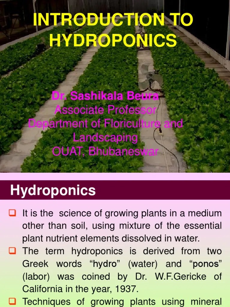 Hydroponics | PDF | Hydroponics | Materials