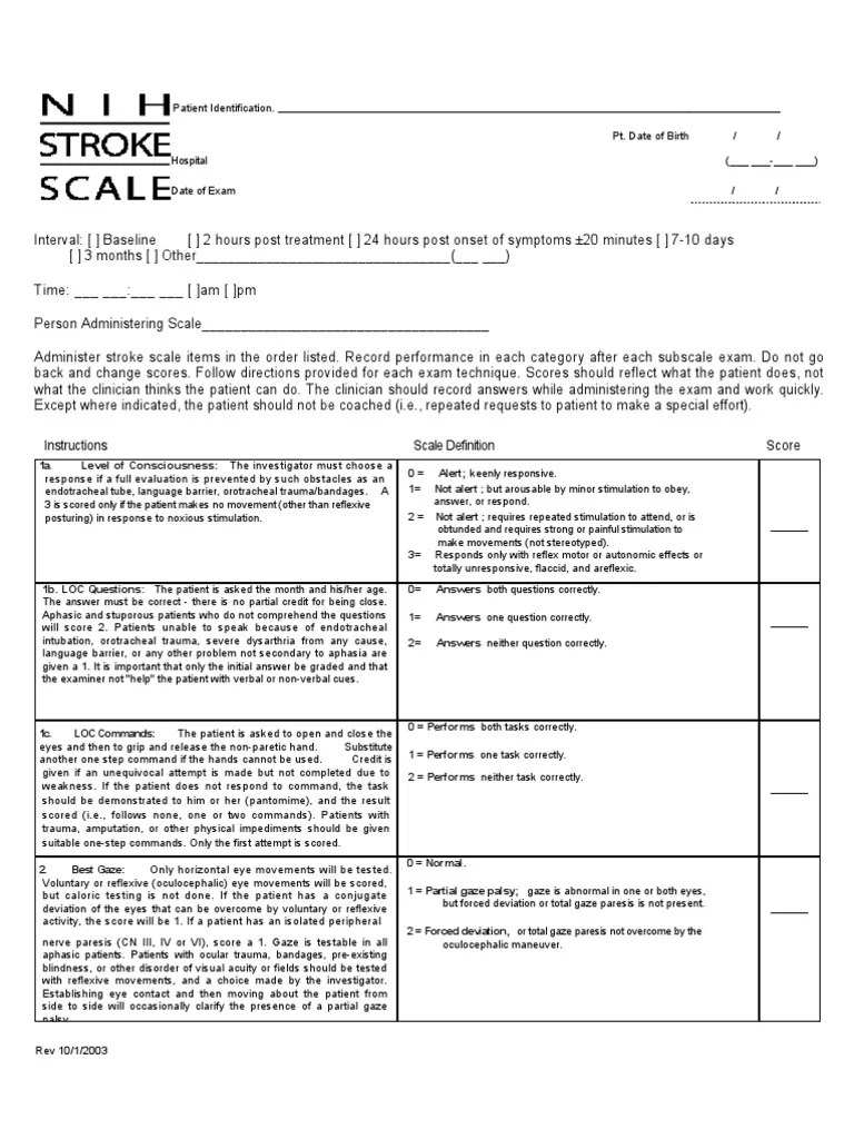 05NIH Stroke Scale Aphasia Nervous System