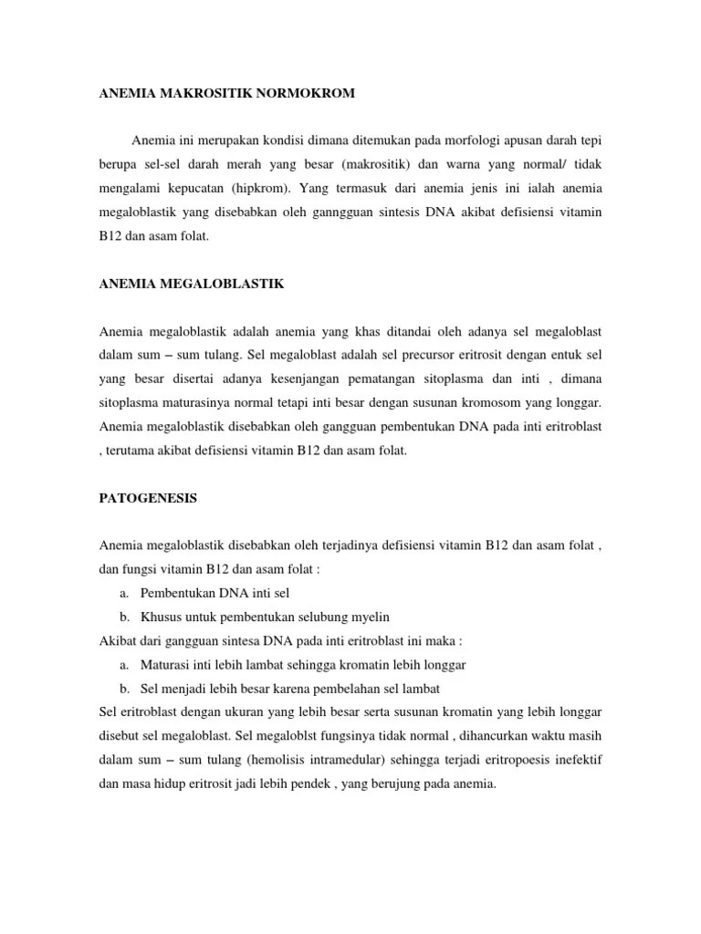 Anemia Makrositik Normokrom | PDF