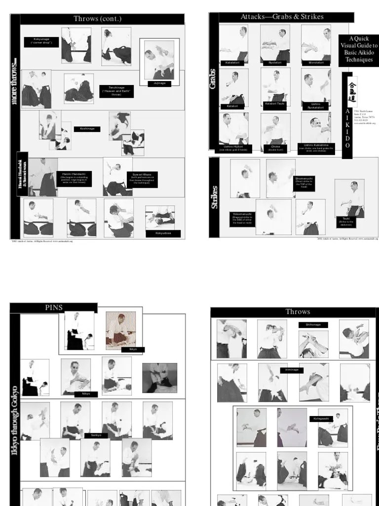 Quick Visual Guide To Basic Aikido Techniques PDF
