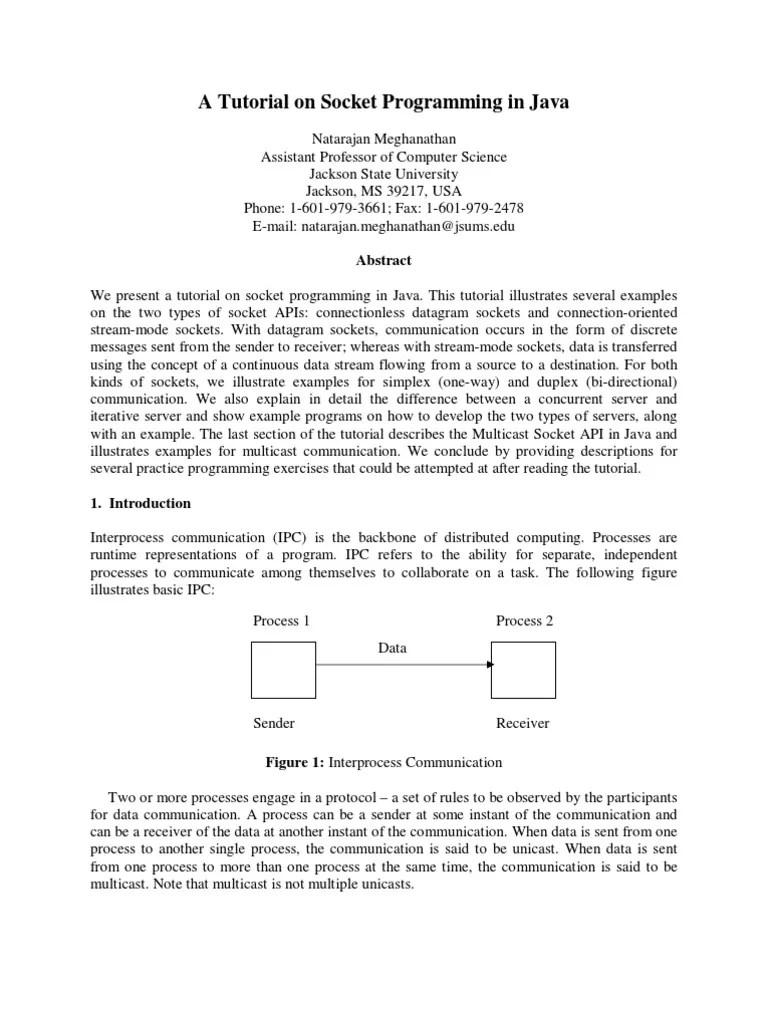 Java Socket Programming Manual PDF Network Socket Port