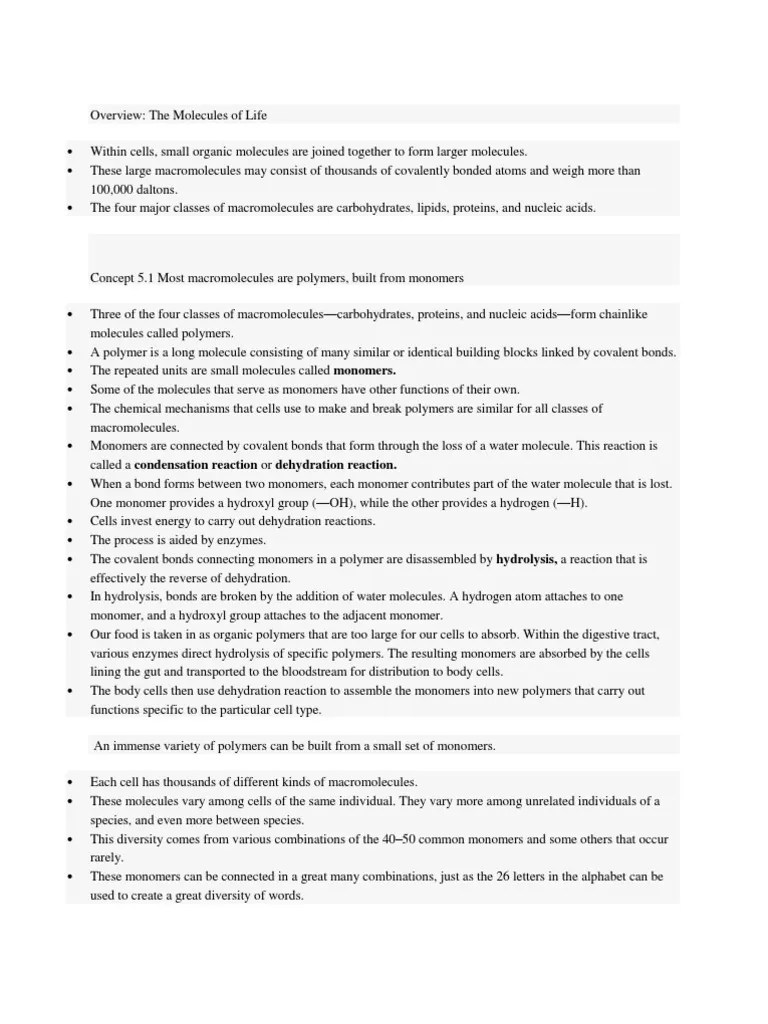 Chapter 5 Notes AP Biology PDF Dna Proteins