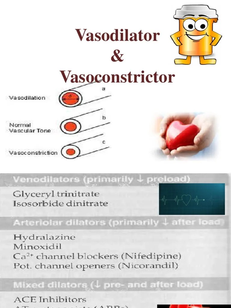 Vasoconstrictors & Vasodilators Vasodilation Shock (Circulatory)