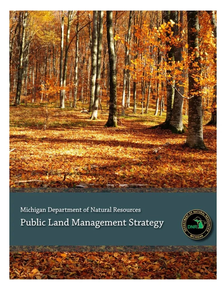 Draft DNR Public Land Management Strategy April 1 416415 7 Michigan