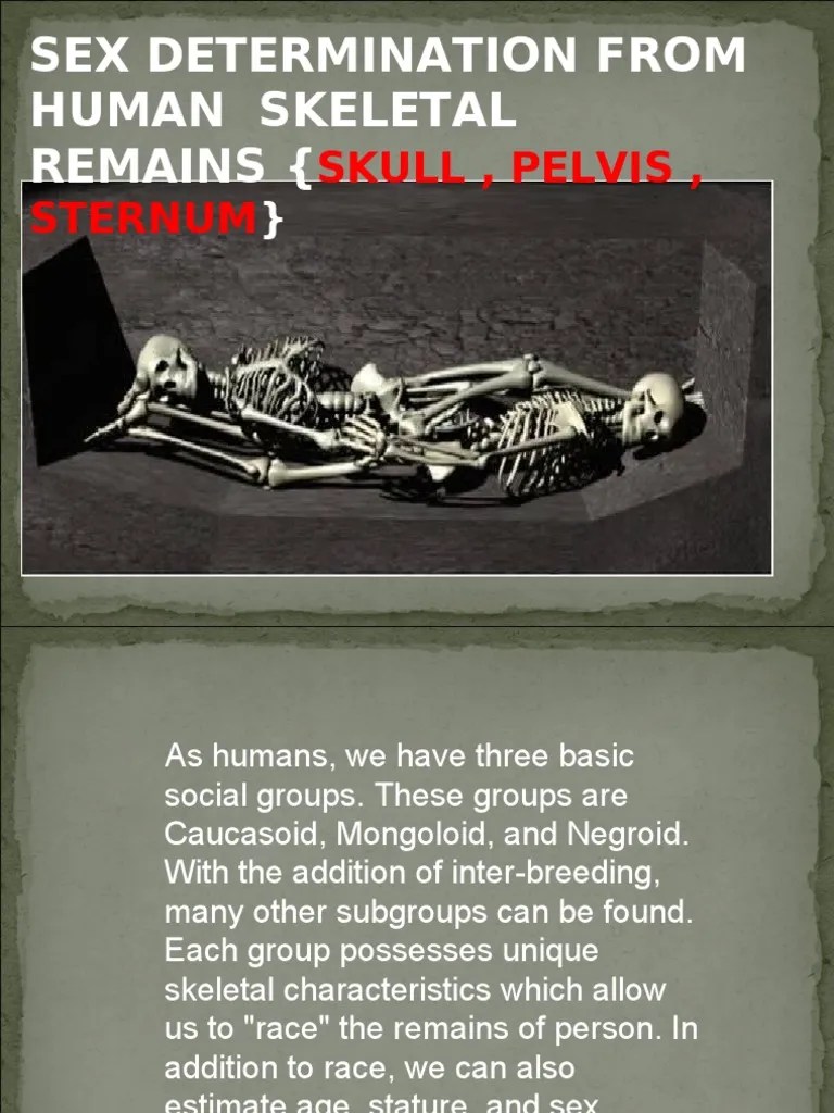 Sex Determination from skeletal remains Pelvis Skull