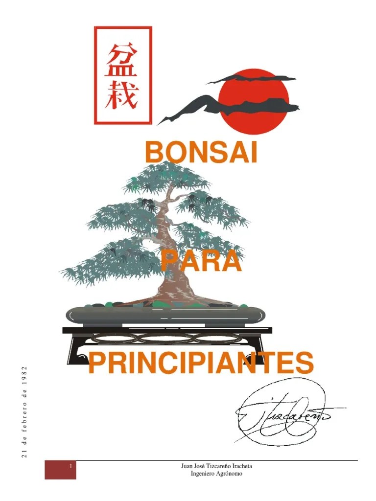Bonsai Para Principiantes Bonsai Arboles